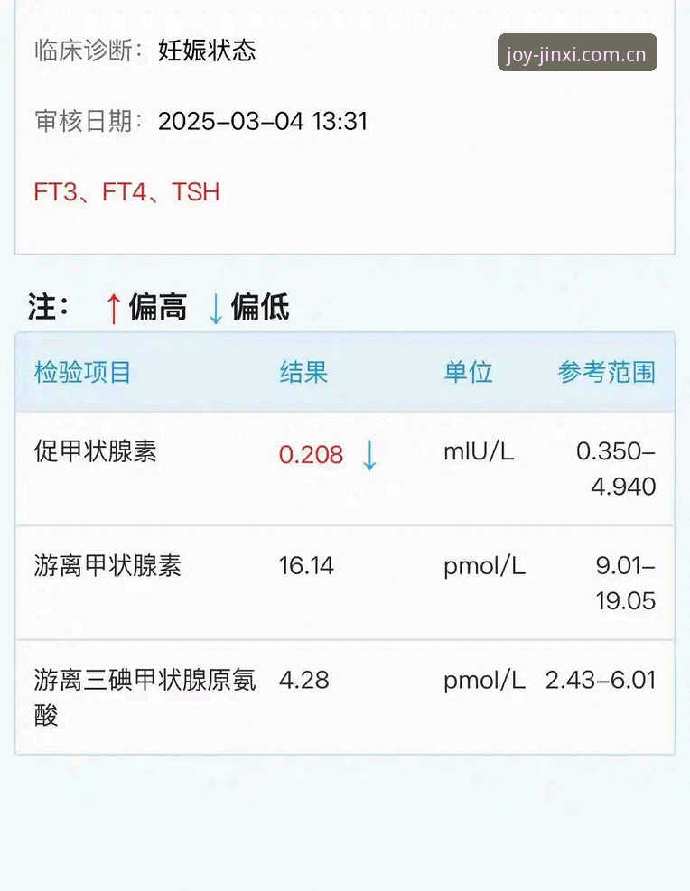 金喜体育安全可靠：2025版本全面评测与深度体验报告