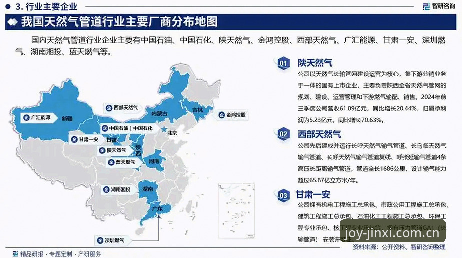 2025年金喜体育平台安全性深度分析：数据验证与用户实操指南